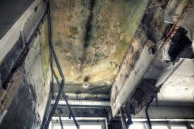 Best Asbestos and Lead Testing During Mold Inspection  in Edmore, MI